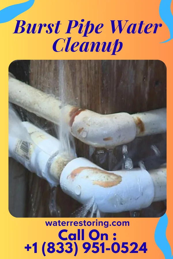Burst Pipe Water Cleanup in Friendship, TN