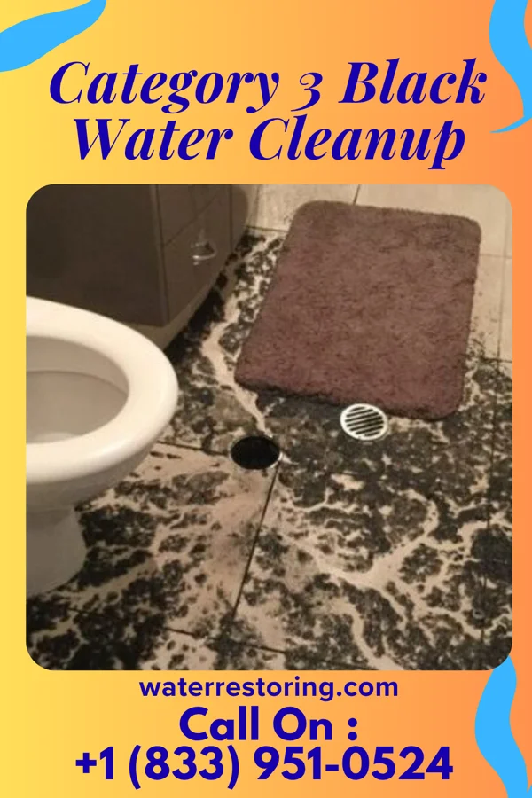 Category 3 Black Water Cleanup in Friendship, TN