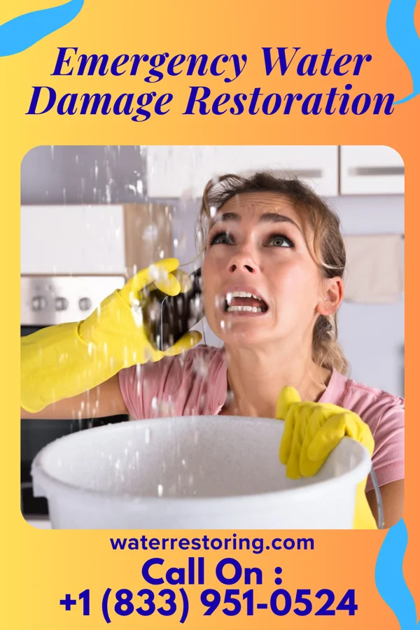 Emergency Water Damage Restoration in Friendship, TN