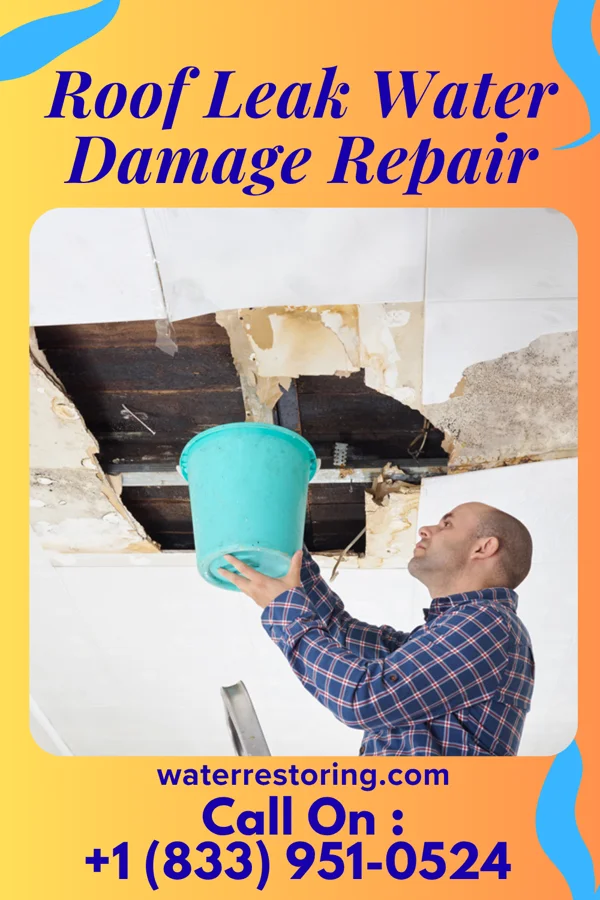 Roof Leak Water Damage Repair in Friendship, TN