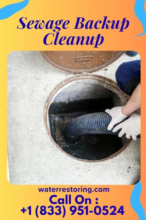 Sewage Backup Cleanup in Friendship, TN