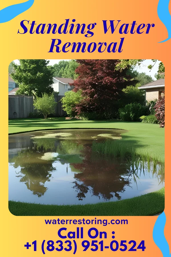 Standing Water Removal in Friendship, TN